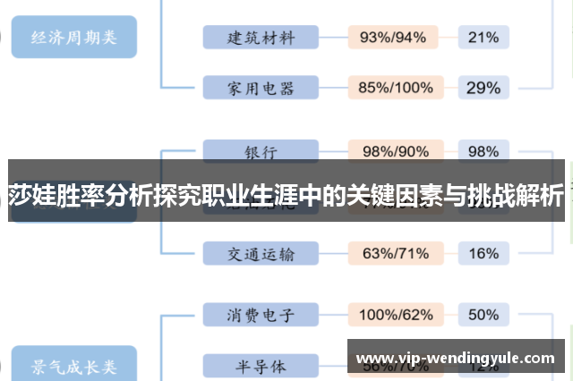 莎娃胜率分析探究职业生涯中的关键因素与挑战解析