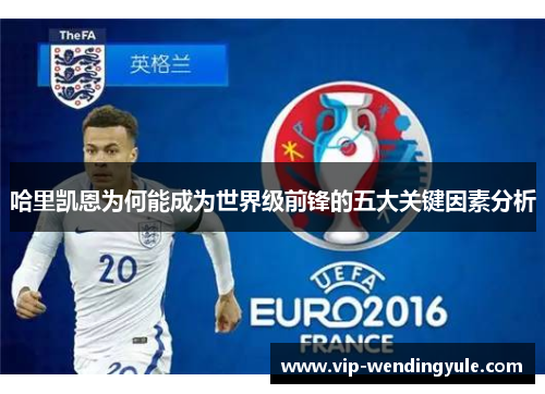 哈里凯恩为何能成为世界级前锋的五大关键因素分析